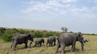 ケニア研修９日目活動報告