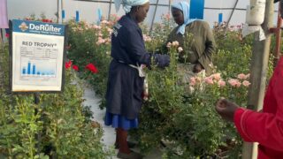 ケニア研修6日目活動報告