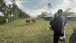 ケニア研修7日目活動報告