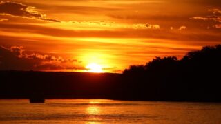 ジンバブエ研修活動報告⑪ 移動、ザンベジ川クルーズ