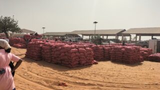 セネガル研修活動報告⑪ミレニアムビレッジ